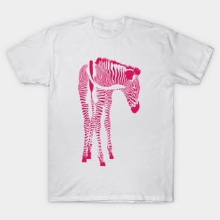 Zebra in Pink T-Shirt